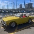 Frank Malowany TR6 St Petersburg Florida
