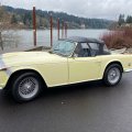 Michael Rego TR250 Portland Oregon