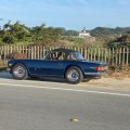 Steven Polkable TR6
