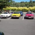 Triumph Car Club Victoria Australia 01