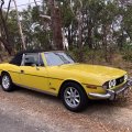 Victor Farrington Stag Adelaide Hills South Australia