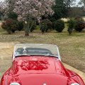 Will Anderson 1958 TR3 South Georgia