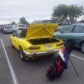 NickMaskeryStagChristchurchNZ