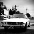 GerryBuchanan76StagVictoriaAustralia