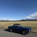 MaryHogan1973TR6StanwoodWA.