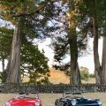 aucklandtriumphcarclub@gmail.com07.