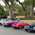 aucklandtriumphcarclub@gmail.com09.