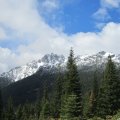 IMG_6874